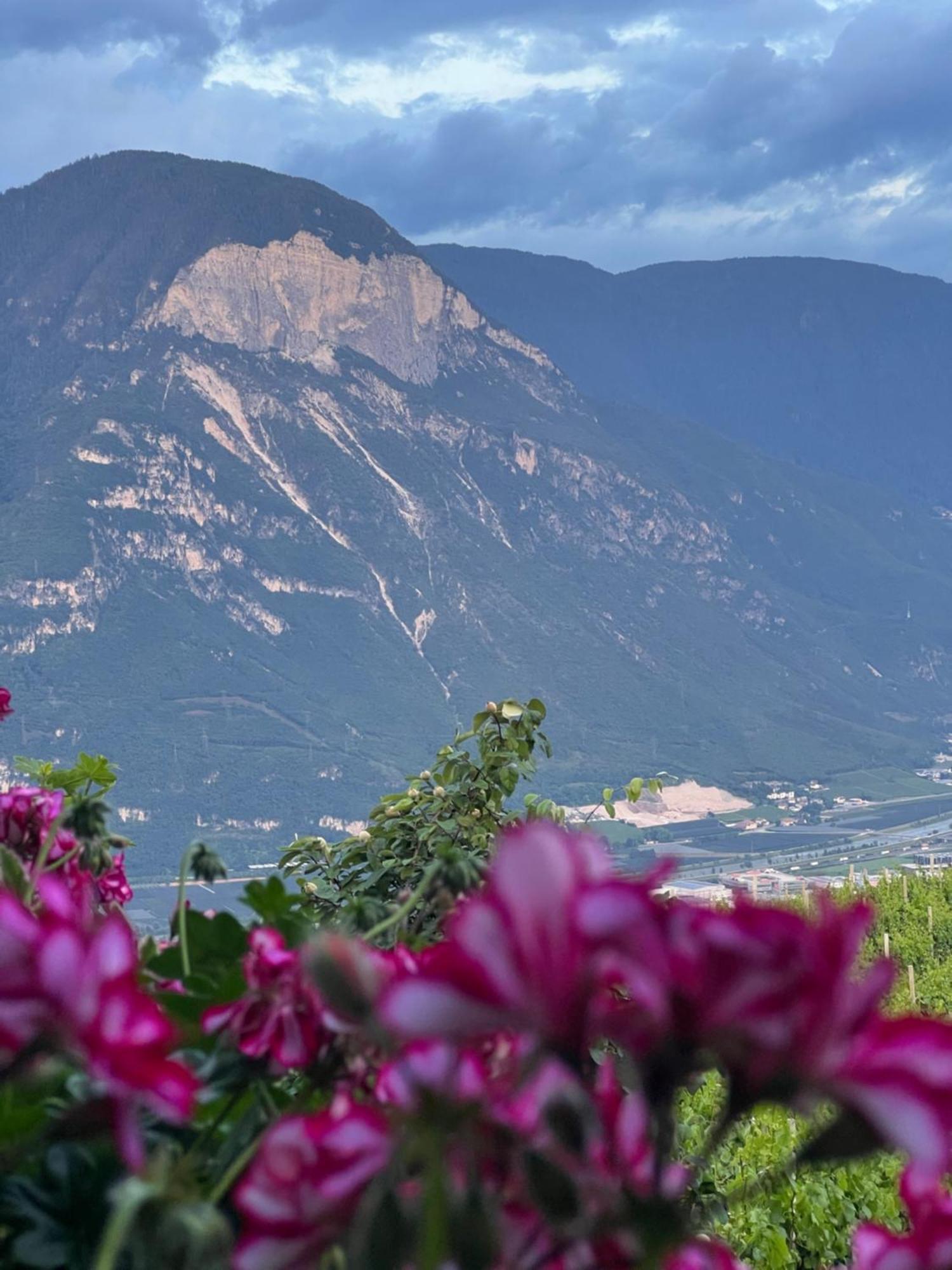 Kerschbamerhof Im Sueden Suedtirols Cortaccia Bagian luar foto