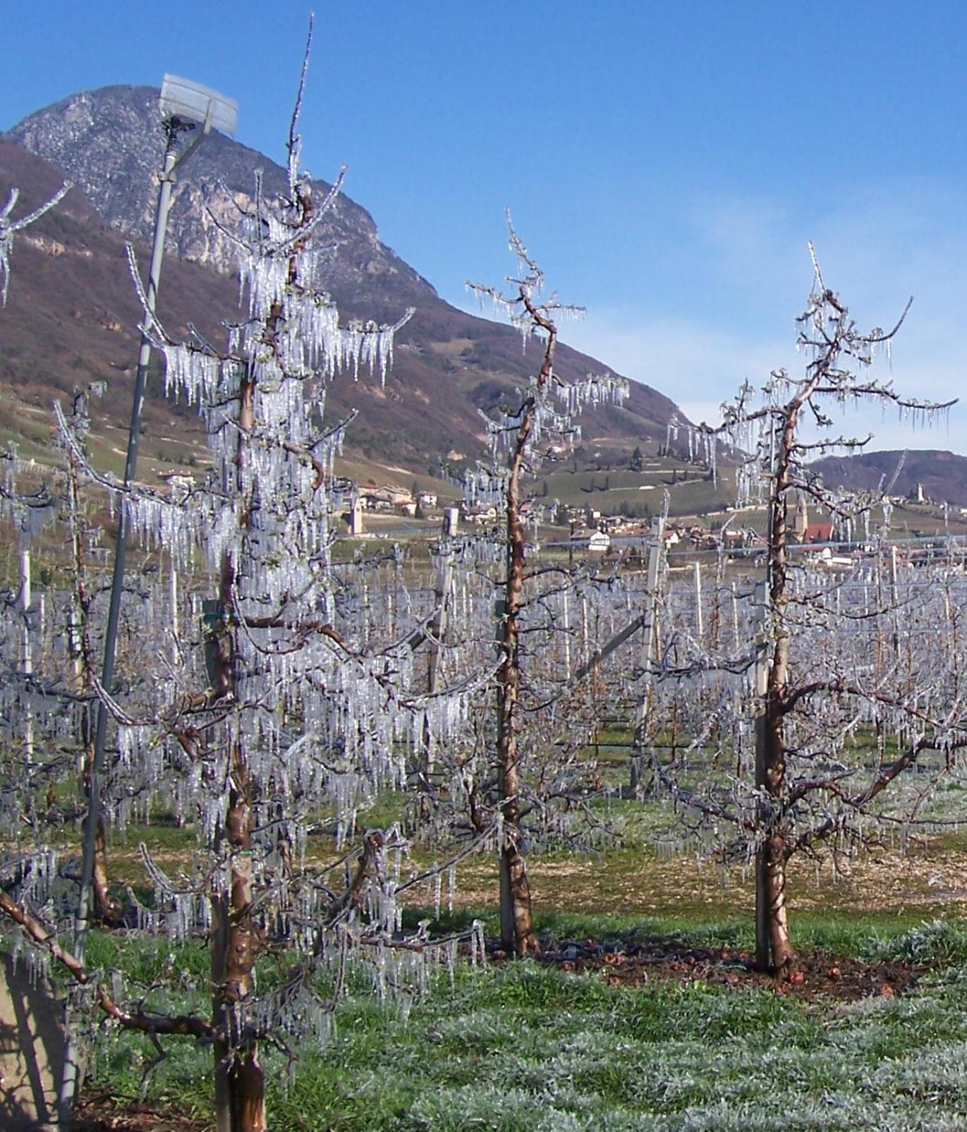 Kerschbamerhof Im Sueden Suedtirols Cortaccia Bagian luar foto