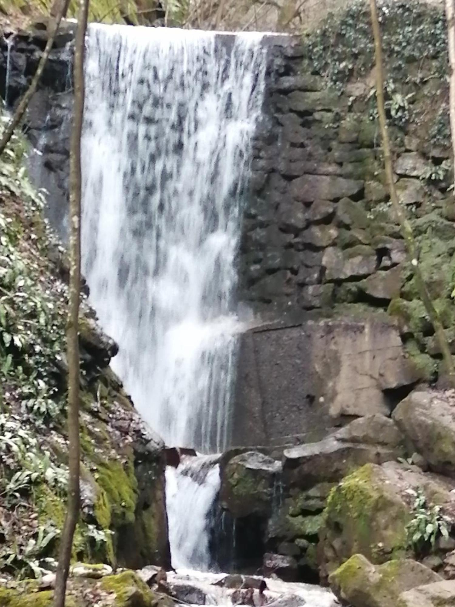 Kerschbamerhof Im Sueden Suedtirols Cortaccia Bagian luar foto