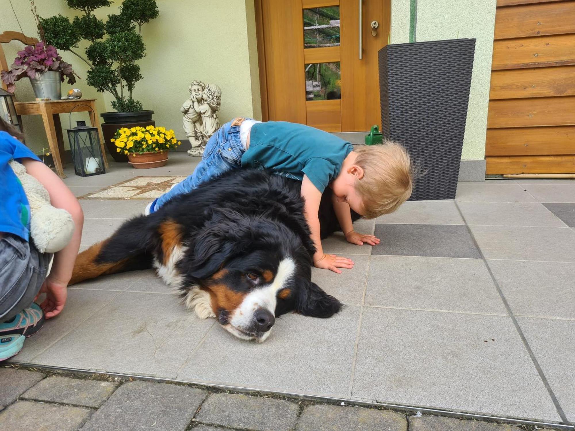 Kerschbamerhof Im Sueden Suedtirols Cortaccia Bagian luar foto