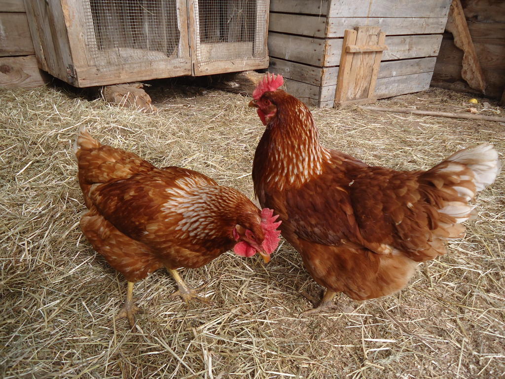 Kerschbamerhof Im Sueden Suedtirols Cortaccia Bagian luar foto