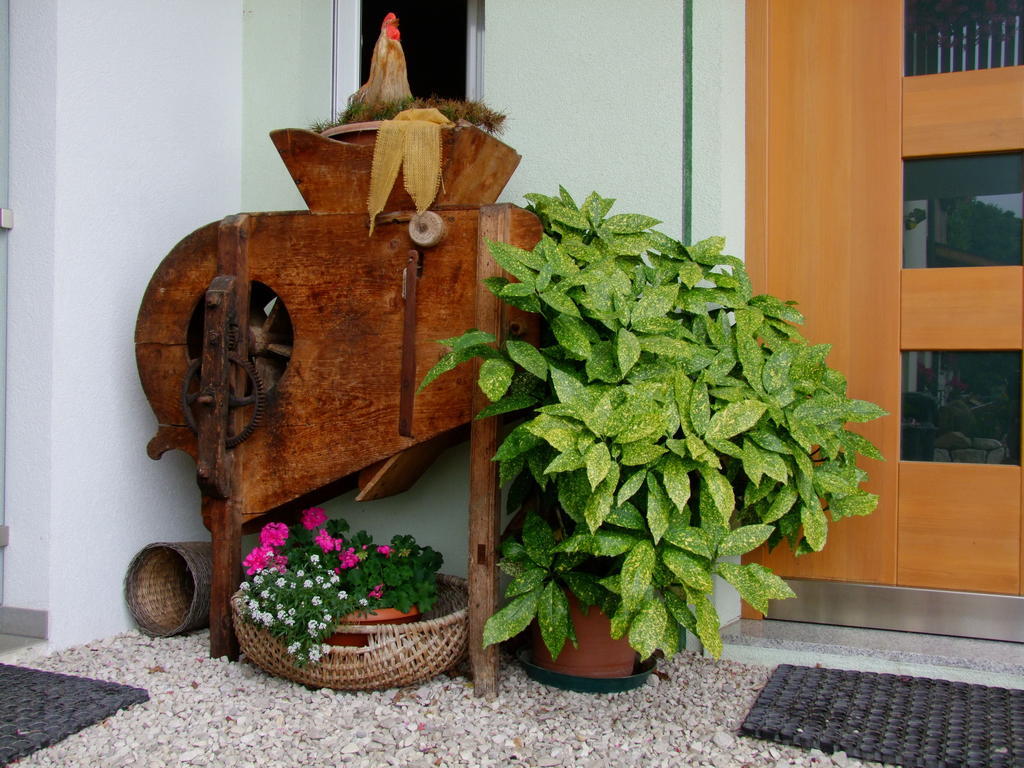 Kerschbamerhof Im Sueden Suedtirols Cortaccia Bagian luar foto