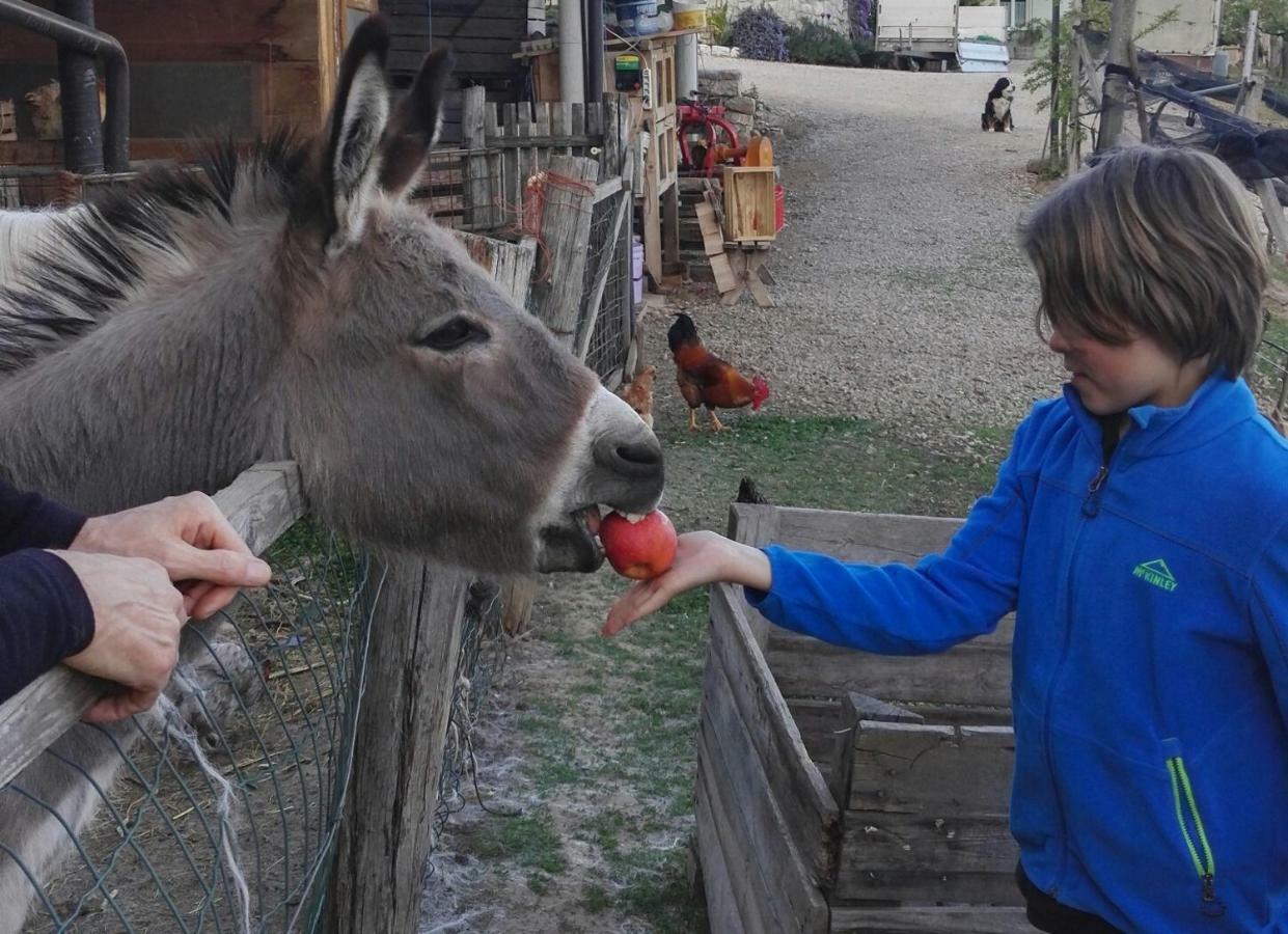Kerschbamerhof Im Sueden Suedtirols Cortaccia Bagian luar foto